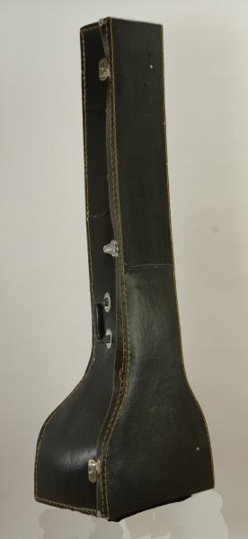 Indische sitar hardcase